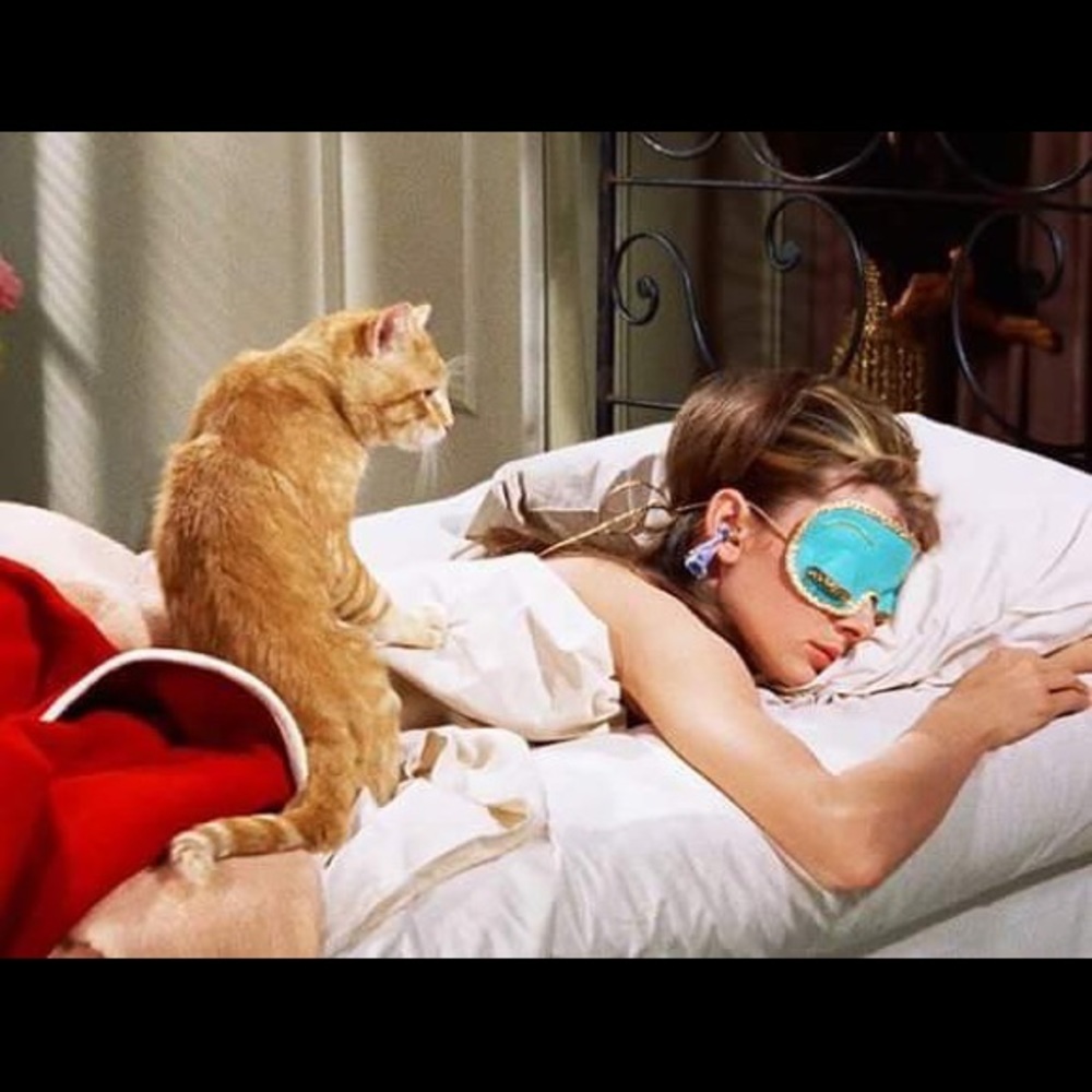 Meet your Posher, Donna